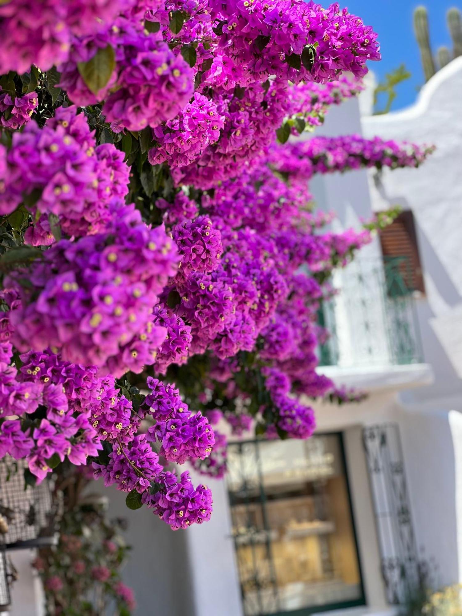 Boutique Hotel Solaz Porto Rafael Zewnętrze zdjęcie