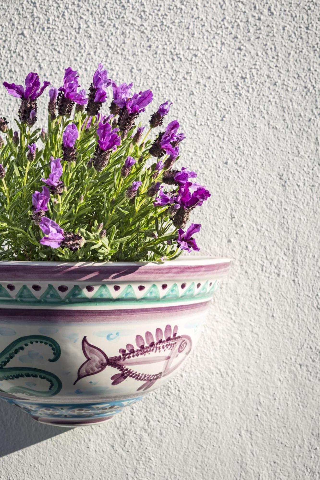 Boutique Hotel Solaz Porto Rafael Zewnętrze zdjęcie